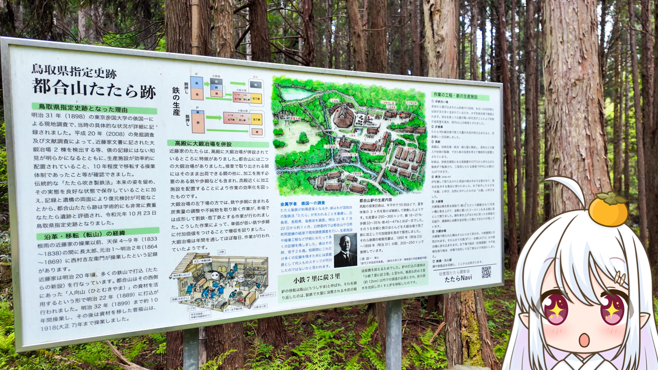 2025年　6月20日「都合山たたら跡」
