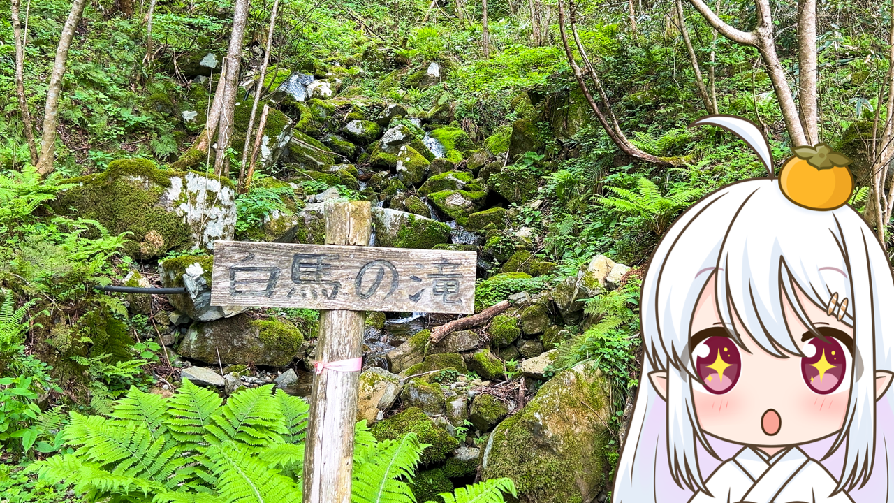 2025年　6月25日「白馬の滝」