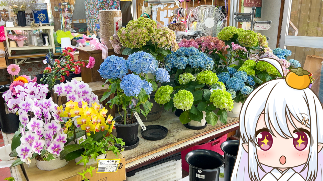 2025年　6月7日「花こまち」