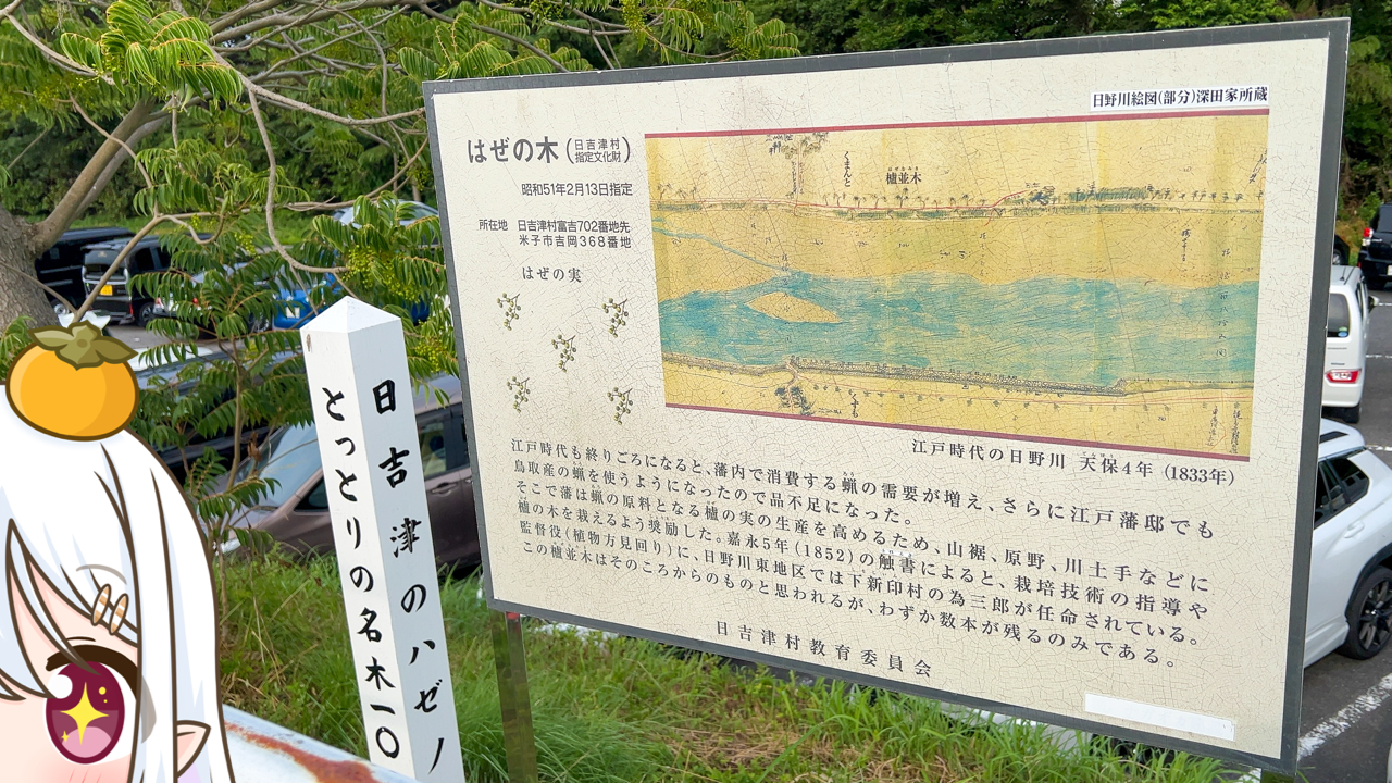 2025年　7月6日「はぜの木」