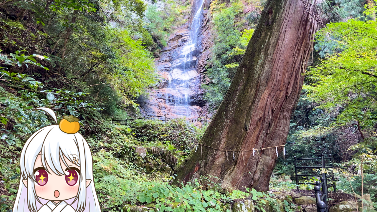 2025年　11月9日「龍王滝」