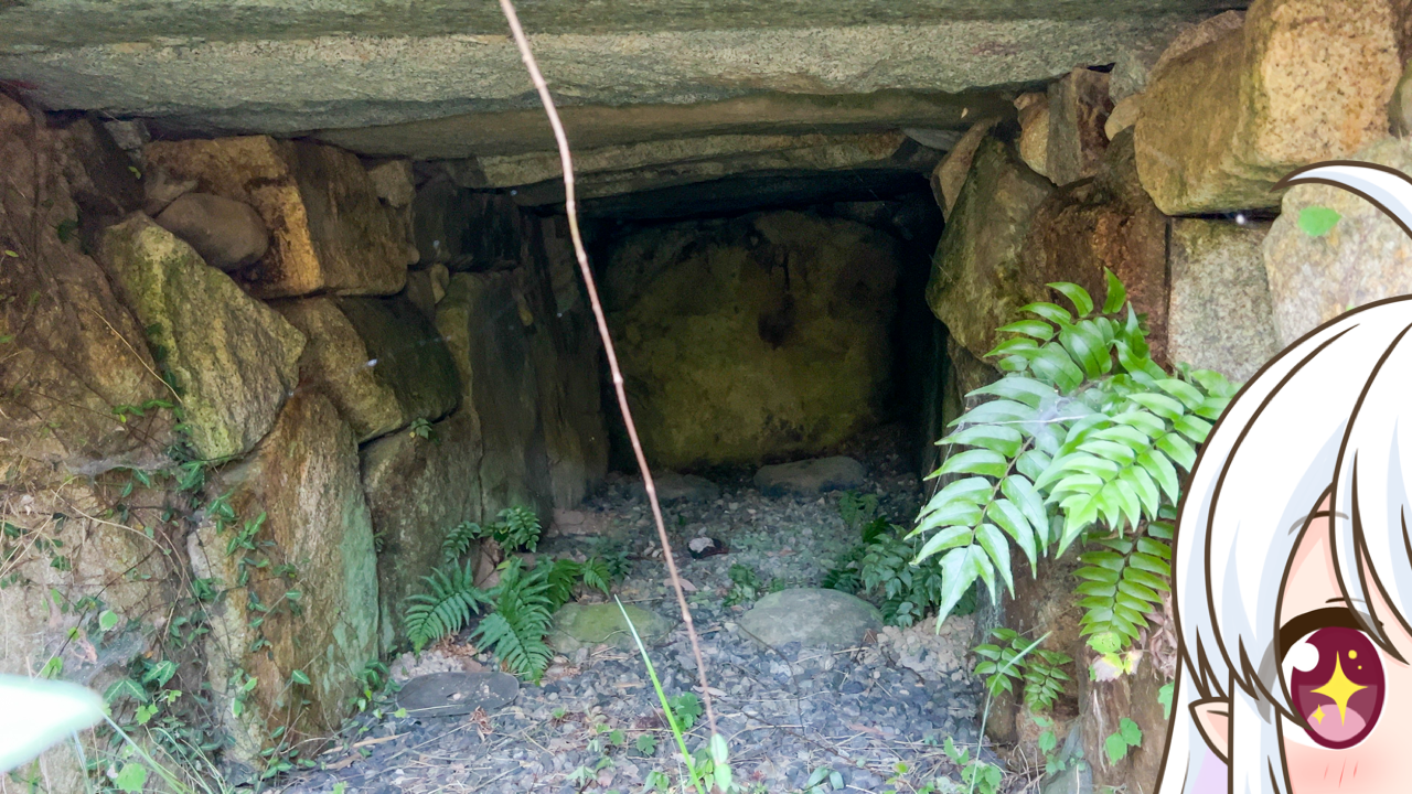 2025年　11月14日「余井古墳」
