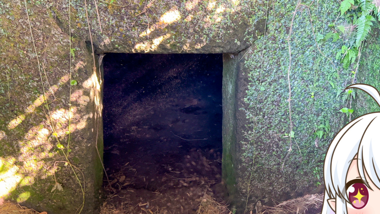 2025年　11月19日「向山古墳群」