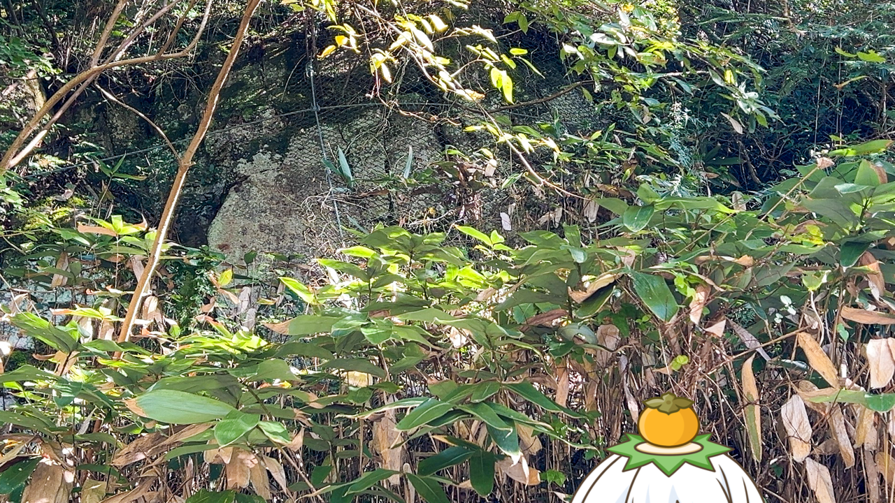 2025年　12月28日「カワコ岩」