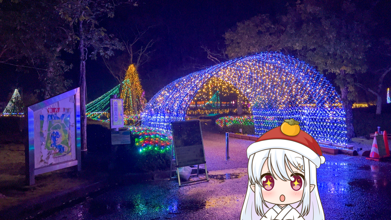 2025年　12月24日「あやめ池公園 あやめ池ウィンターイルミネーション2025」