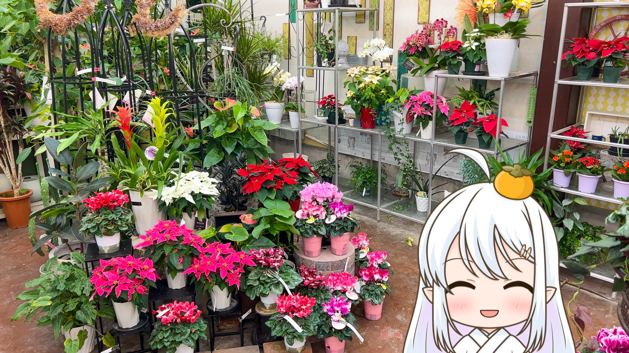 2025年　12月12日「花こまち」