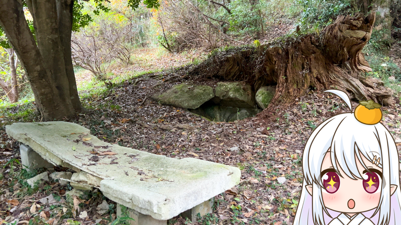 2026年　1月17日「岩舟古墳」