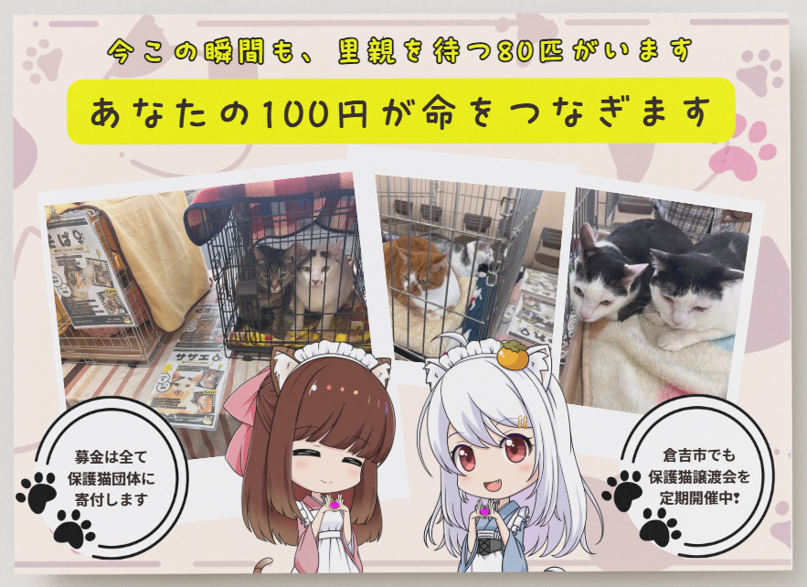 2026年　2月22日「猫の日」🐈